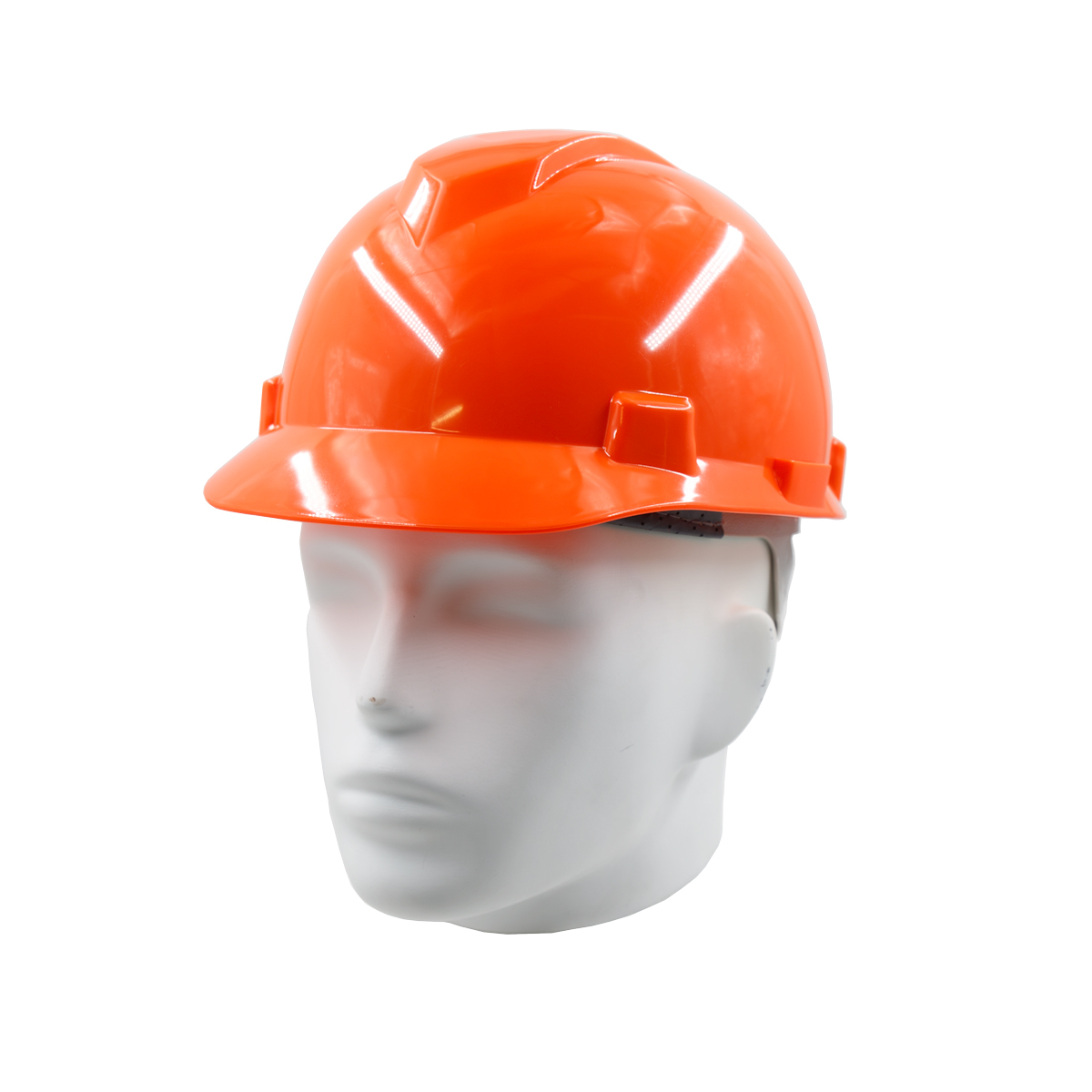 SGS Protective Helmet for Landscapers with Ear Defenders and Face Shield
